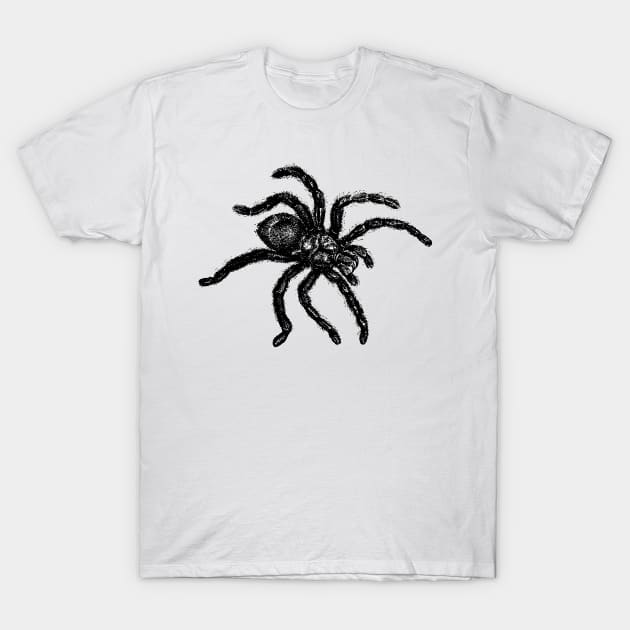 Vintage Tarantula Illustration T-Shirt by tommartinart